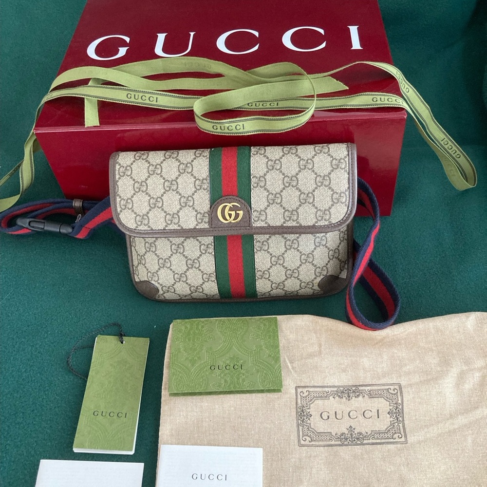 Gucci Small Ophidia GG Supreme Belt bag